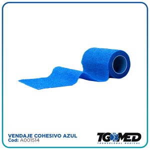https://dev.transglobal.co.cr/wp-content/uploads/2023/09/AZUL-300x300.jpg